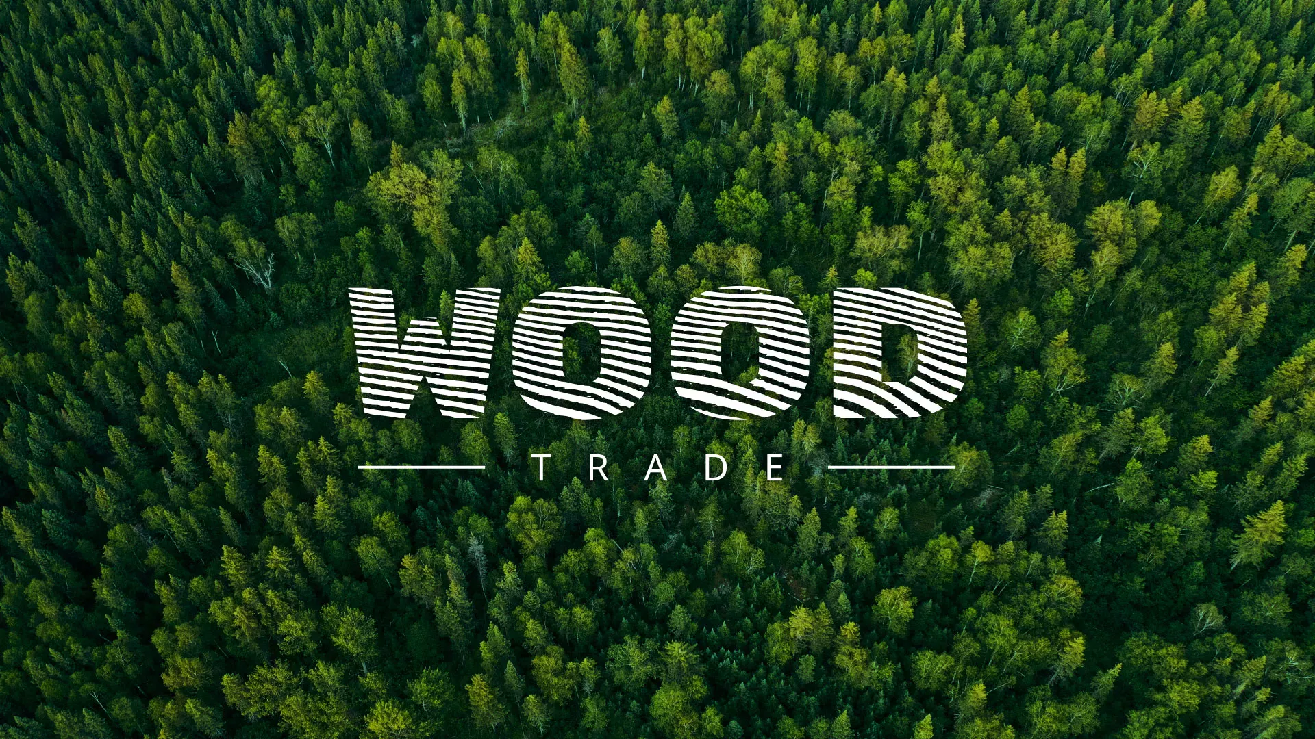 Разработка интернет-магазина компании «Wood Trade» в Вичуге