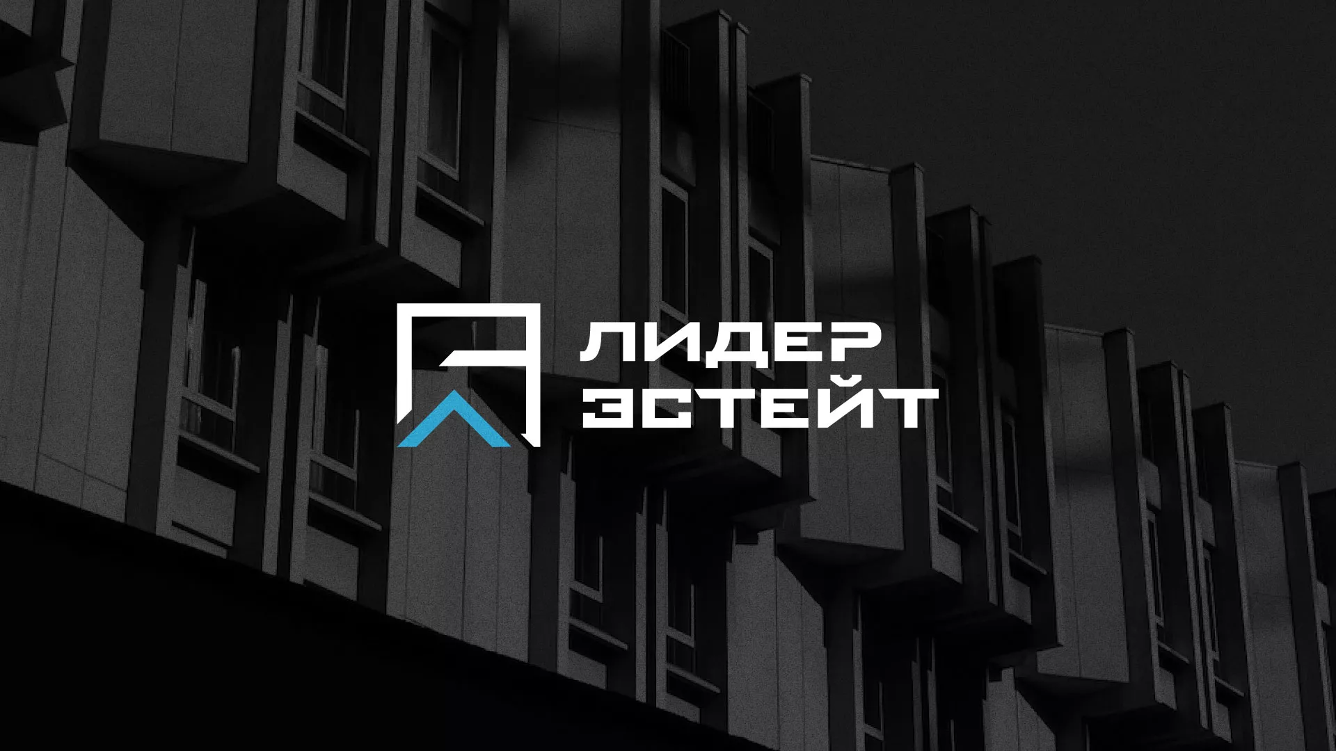 Разработка логотипа агентства недвижимости «Лидер Эстейт» в Вичуге
